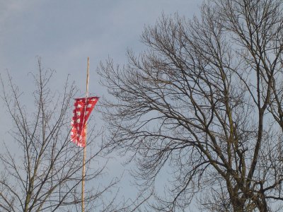 Ausstellungen